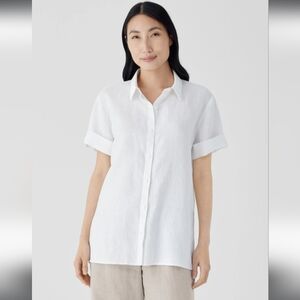 Eileen Fisher The classic collar shirt with short sleeves M